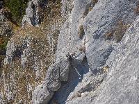 Bild 21 (106 Bildaufrufe)