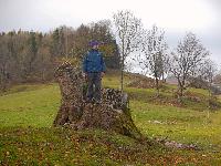 Hohenstein (81 Bildaufrufe)