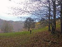 Hohenstein (137 Bildaufrufe)