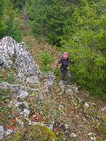 Hohenstein (101 Bildaufrufe)