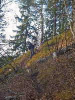 Bild 6 (111 Bildaufrufe)