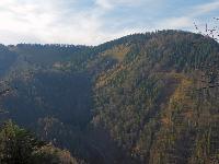 Bild 19 (117 Bildaufrufe)