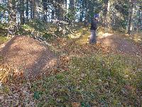 Bild 20 (114 Bildaufrufe)