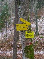 Bild 5 (113 Bildaufrufe)