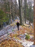 Bild 7 (124 Bildaufrufe)