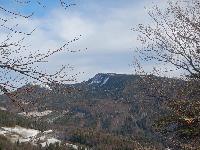 Bild 8 (85 Bildaufrufe)