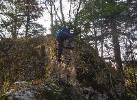 Weinberg (94 Bildaufrufe)