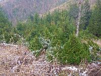 Bild 18 (107 Bildaufrufe)