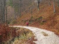 Bild 21 (84 Bildaufrufe)