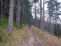 Grünkogel (91 Bildaufrufe)
