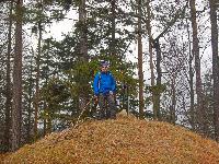Bild 7 (112 Bildaufrufe)