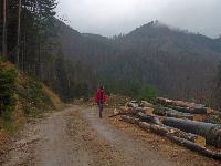 Bild 10 (136 Bildaufrufe)