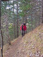 Bild 4 (131 Bildaufrufe)