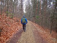 Bild 28 (98 Bildaufrufe)