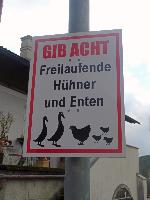 Bild 29 (91 Bildaufrufe)