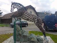 Bild 30 (113 Bildaufrufe)