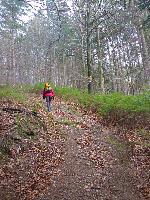 Bild 2 (116 Bildaufrufe)
