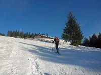 Bild 5 (106 Bildaufrufe)