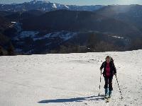Bild 5 (88 Bildaufrufe)