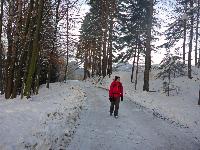 Steinwandleiten (83 Bildaufrufe)