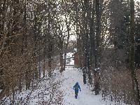 Steinwandleiten (90 Bildaufrufe)