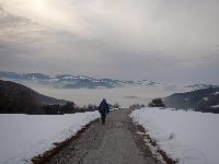 Bild 10 (75 Bildaufrufe)