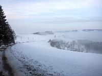 Bild 11 (80 Bildaufrufe)