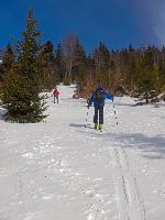 Bild 3 (120 Bildaufrufe)