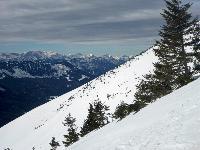 Bild 4 (113 Bildaufrufe)