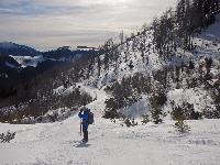 Bild 15 (168 Bildaufrufe)