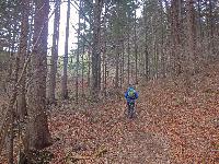 Bild 2 (86 Bildaufrufe)