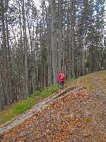 Bild 8 (96 Bildaufrufe)