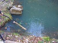 Bild 2 (92 Bildaufrufe)