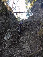 Hirschkogel (73 Bildaufrufe)