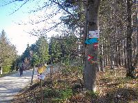 Bild 3 (76 Bildaufrufe)
