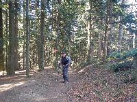 Bild 8 (64 Bildaufrufe)