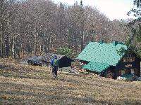 Bild 10 (76 Bildaufrufe)