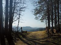 Bild 15 (72 Bildaufrufe)