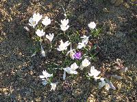 Bild 17 (108 Bildaufrufe)