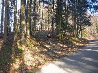Bild 18 (68 Bildaufrufe)