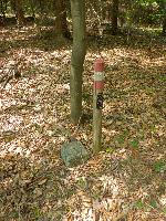 Bild 6 (59 Bildaufrufe)