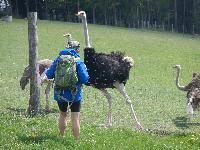 Bild 8 (53 Bildaufrufe)