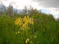Bild 17 (49 Bildaufrufe)