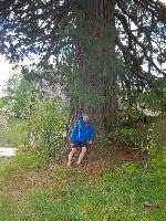 Bild 19 (50 Bildaufrufe)