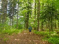 Bild 21 (65 Bildaufrufe)