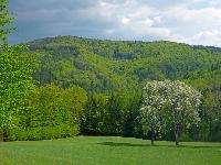 Bild 22 (54 Bildaufrufe)