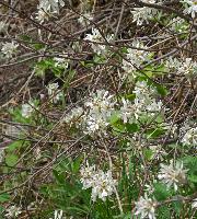 Bild 2 (95 Bildaufrufe)