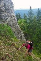 Bild 6 (80 Bildaufrufe)
