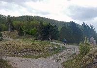 Bild 9 (90 Bildaufrufe)