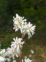 Bild 10 (81 Bildaufrufe)